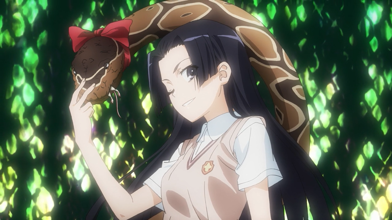 Toaru Kagaku no Railgun S (Natsuyoru Fansub)